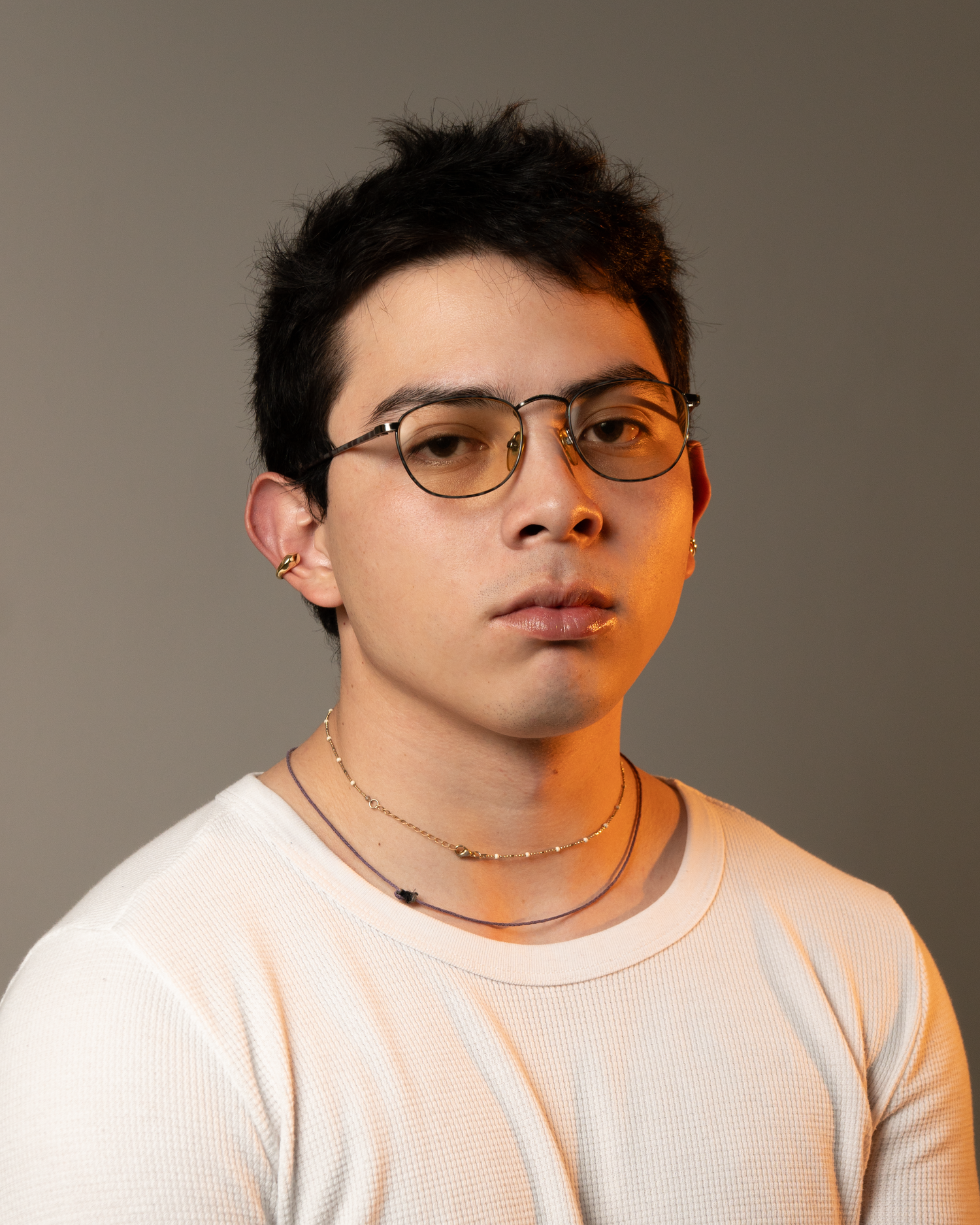 Perros de Casa / Gente de Calle