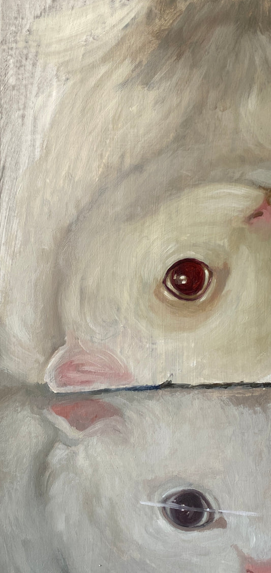 Todos los seres sintientes sufren XVI