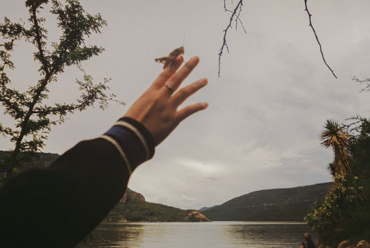 El cuidado en un te quiero.