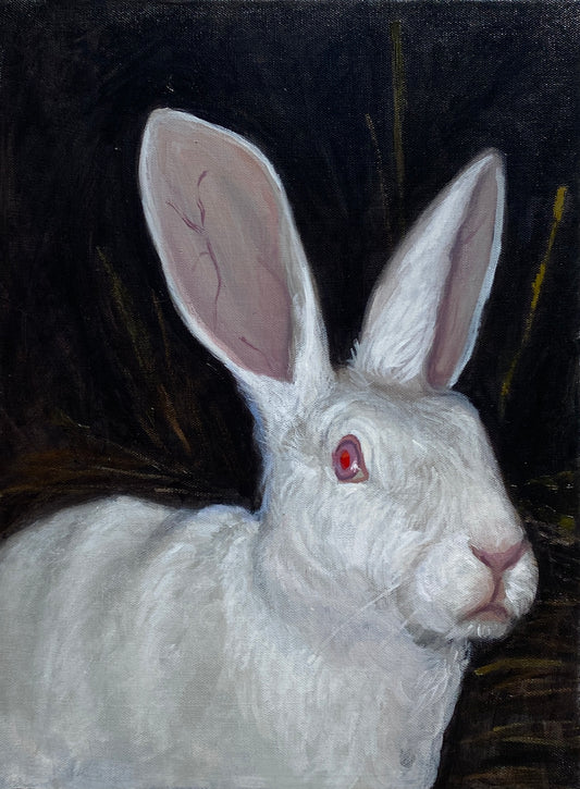 Todos los seres sintientes sufren II