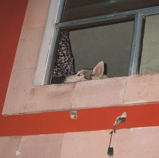 Esperándote donde siempre