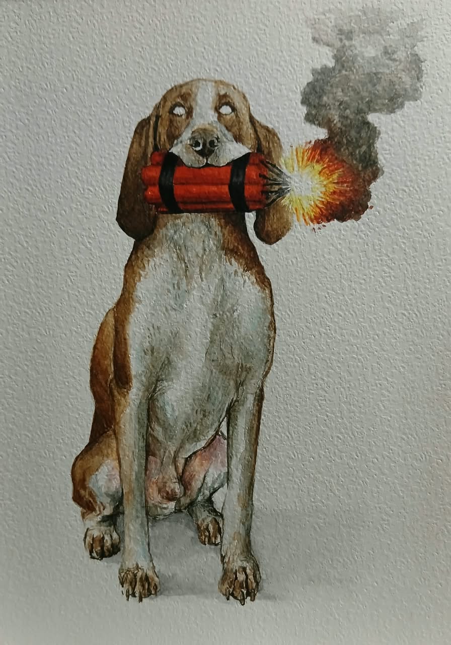 A otro hueso con el mismo perro