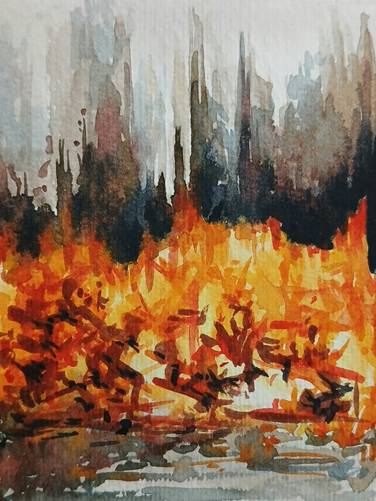 INFLAMABLE, COMBUSTIBLE, INCINERABLE