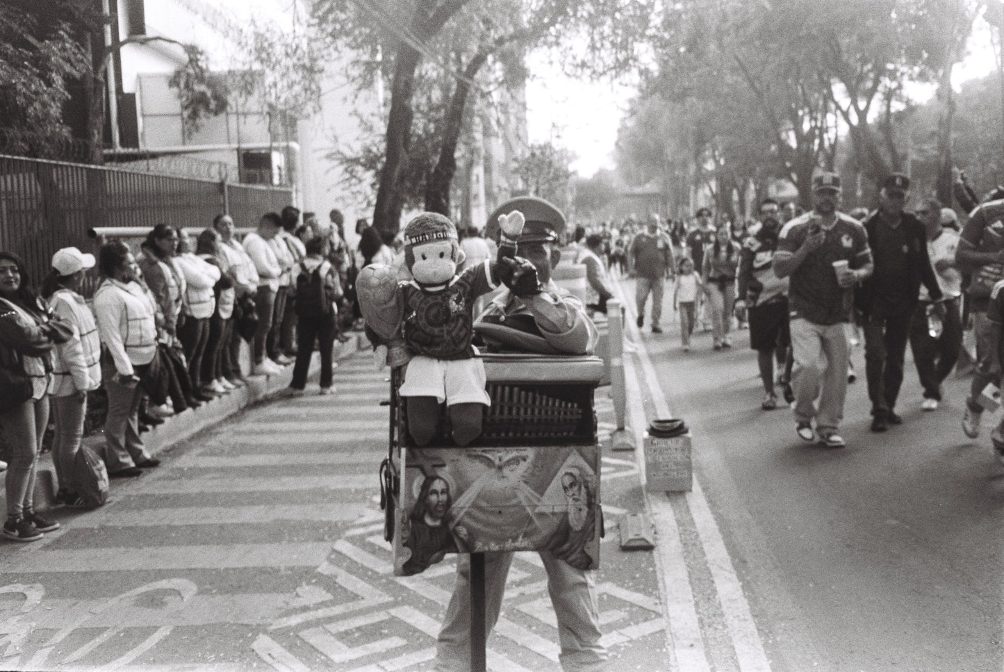 Mono organillero