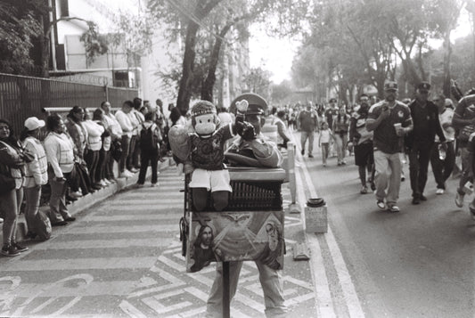 Mono organillero